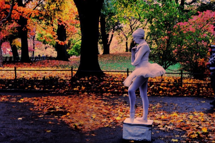 Central Park, Photograph