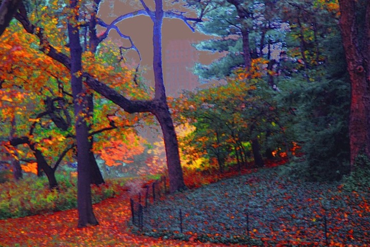 Central Park, Photograph