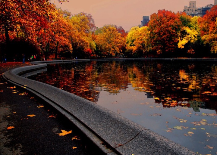 Central Park, Photograph