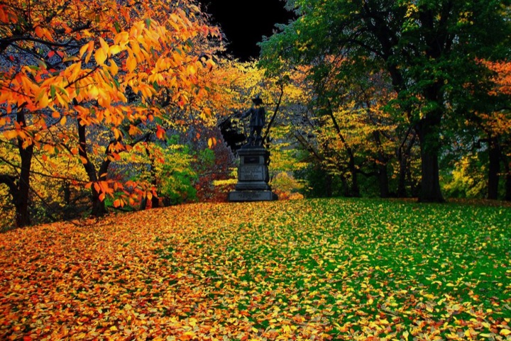 Central Park, Photograph