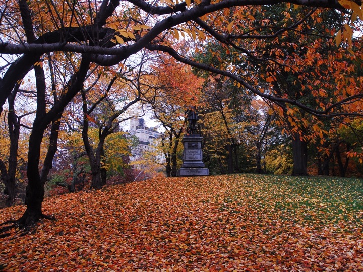 Central Park, Photograph