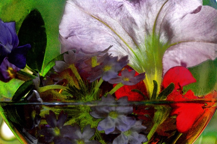 Inner Flowers, Photograph