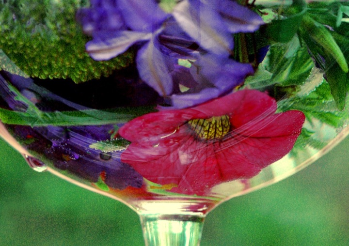 Inner Flowers, Photograph