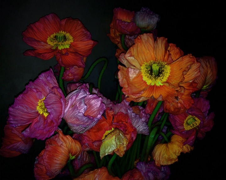 Inner Flowers, Photograph