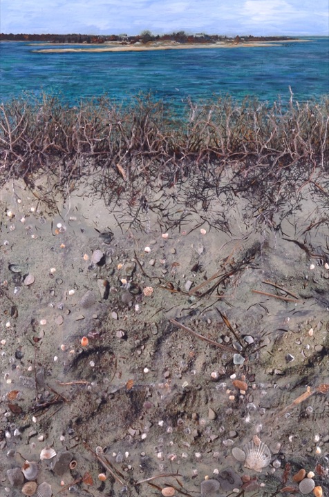 Organic Marine Scapes, Mixed media on canvas