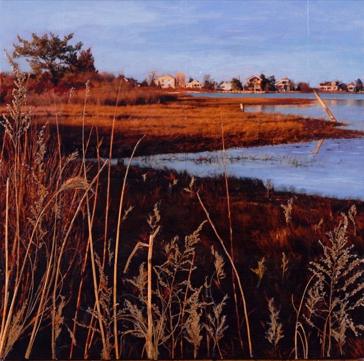 Organic Marine Scapes, Mixed media on canvas