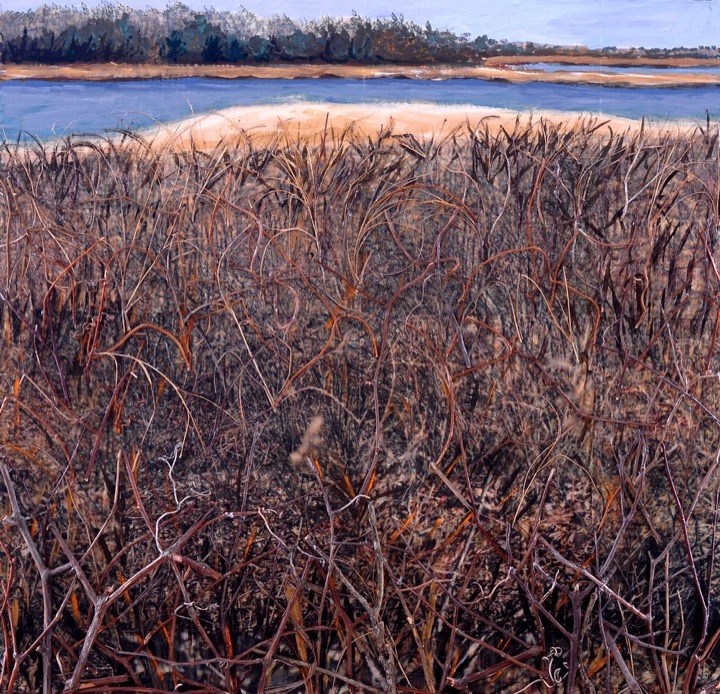 Organic Marine Scapes, Mixed media on canvas