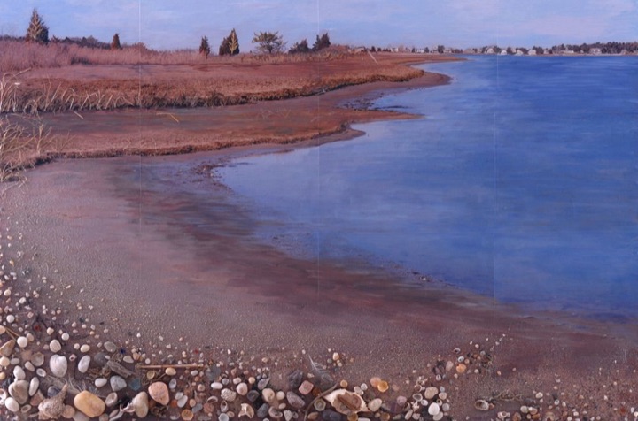 Organic Marine Scapes, Mixed media on canvas