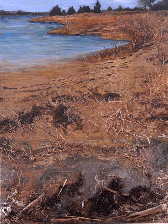 Organic Marine Scapes, Mixed media on canvas