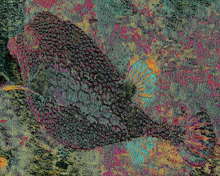 Nets, Photograph
