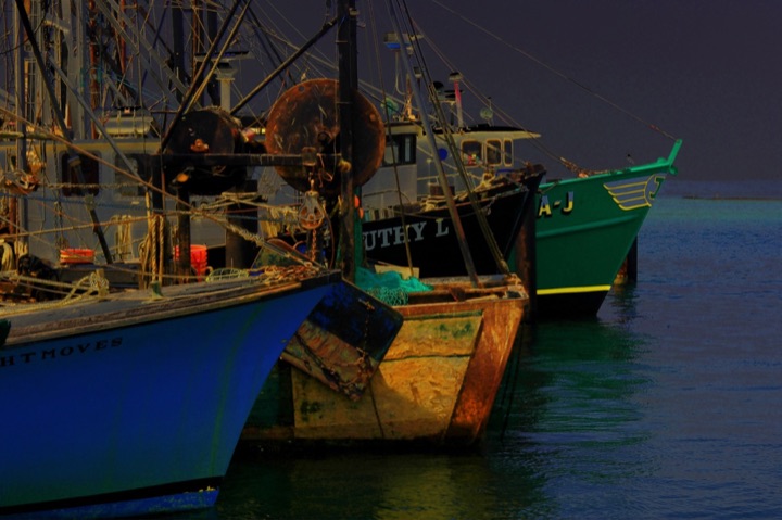 Nets, Photograph