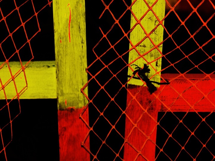 Nets, Photograph
