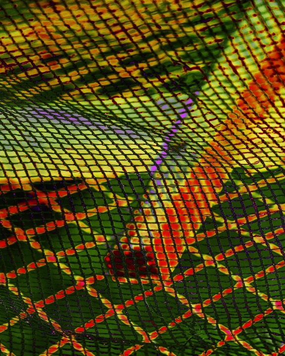 Nets, Photograph