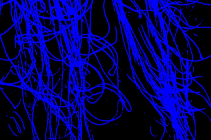 Nets, Photograph