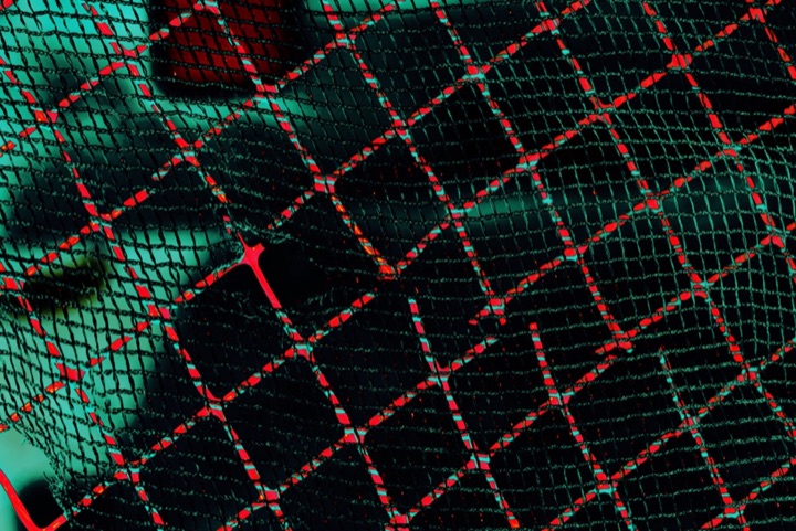 Nets, Photograph