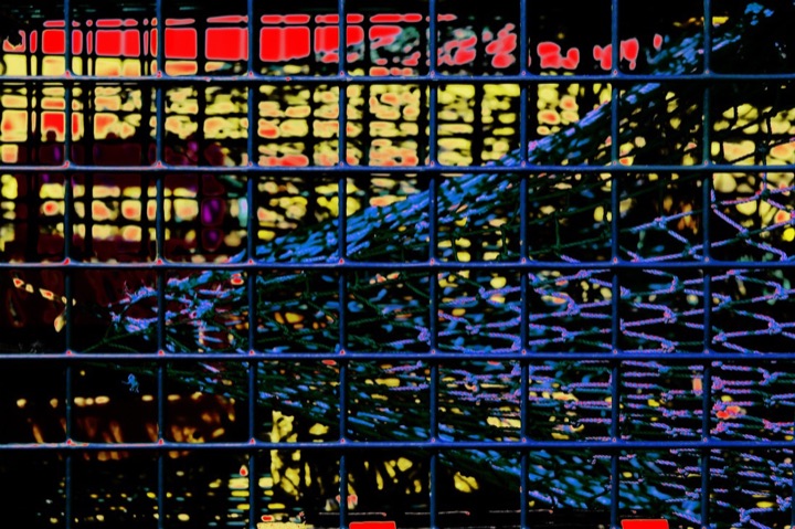 Nets, Photograph