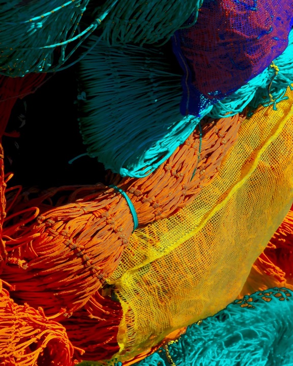 Nets, Photograph
