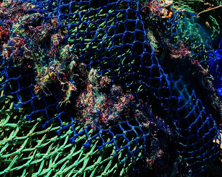 Nets, Photograph