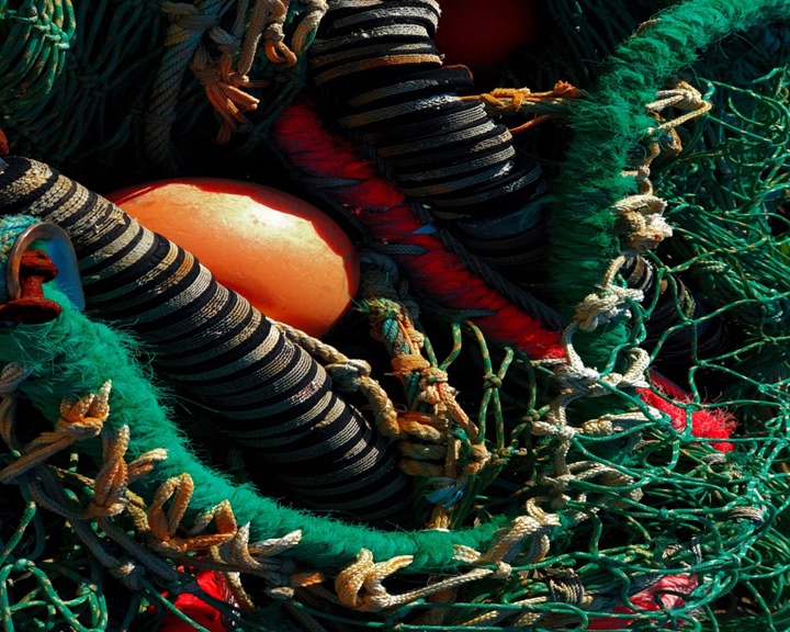 Nets, Photograph