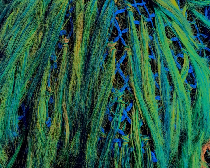 Nets, Photograph
