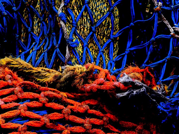 Nets, Photograph