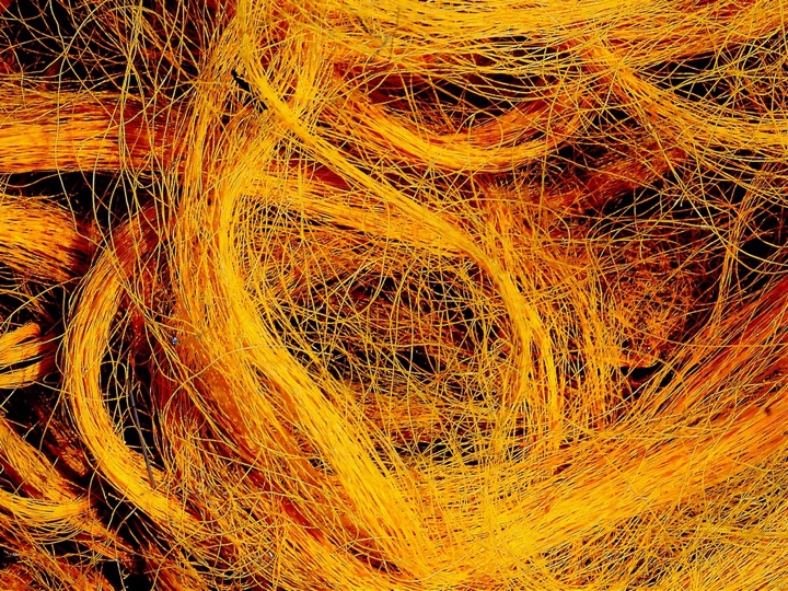 Nets, Photograph