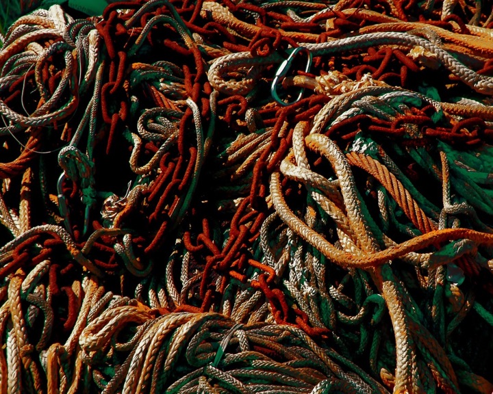 Nets, Photograph