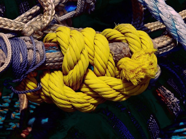 Nets, Photograph