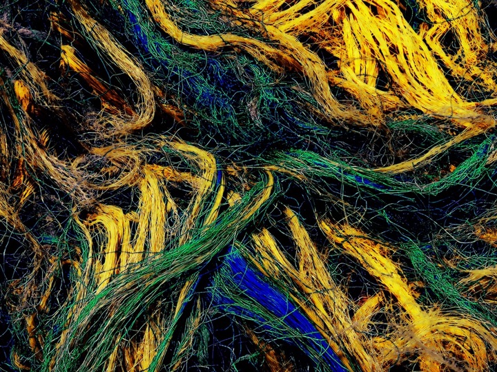 Nets, Photograph