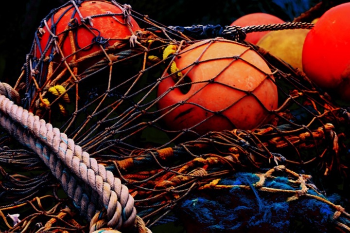 Nets, Photograph