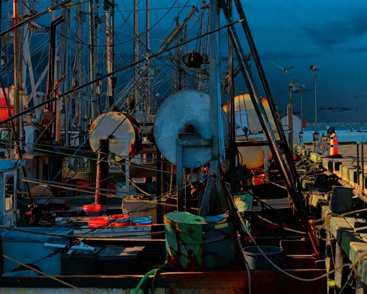 Nets, Photograph