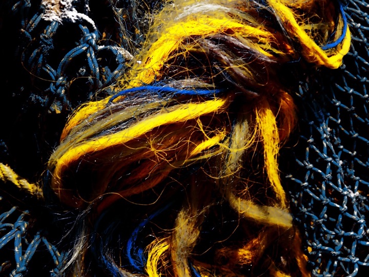 Nets, Photograph