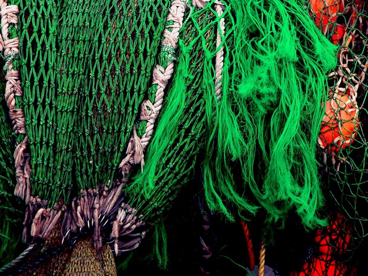 Nets, Photograph