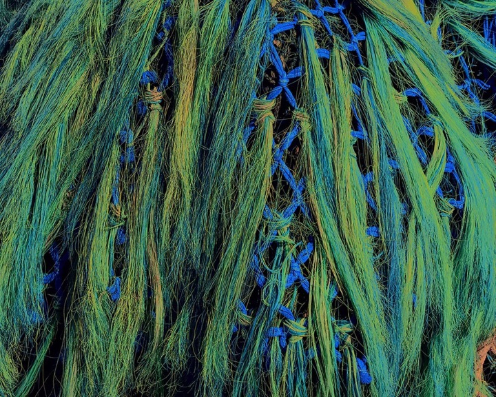 Nets, Photograph