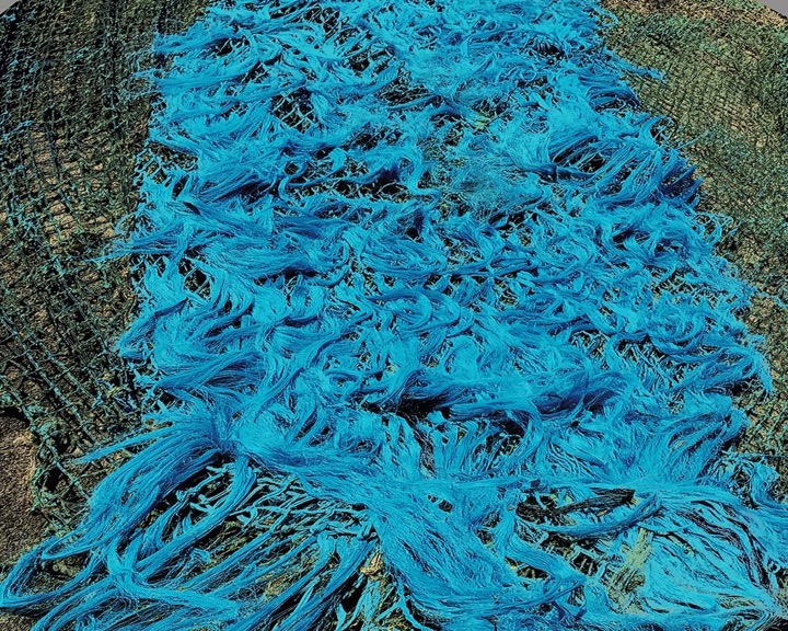 Nets, Photograph