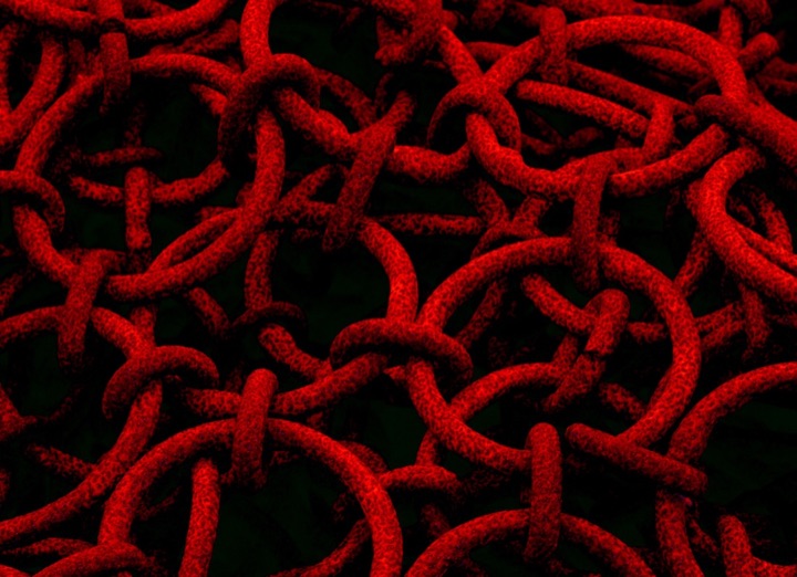 Nets, Photograph