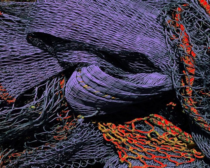 Nets, Photograph