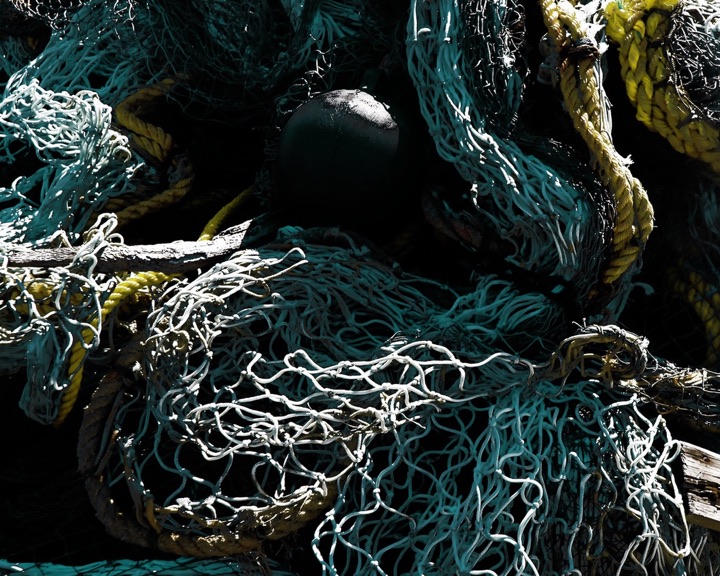 Nets, Photograph
