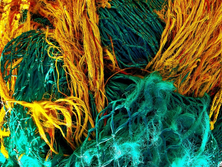 Nets, Photograph