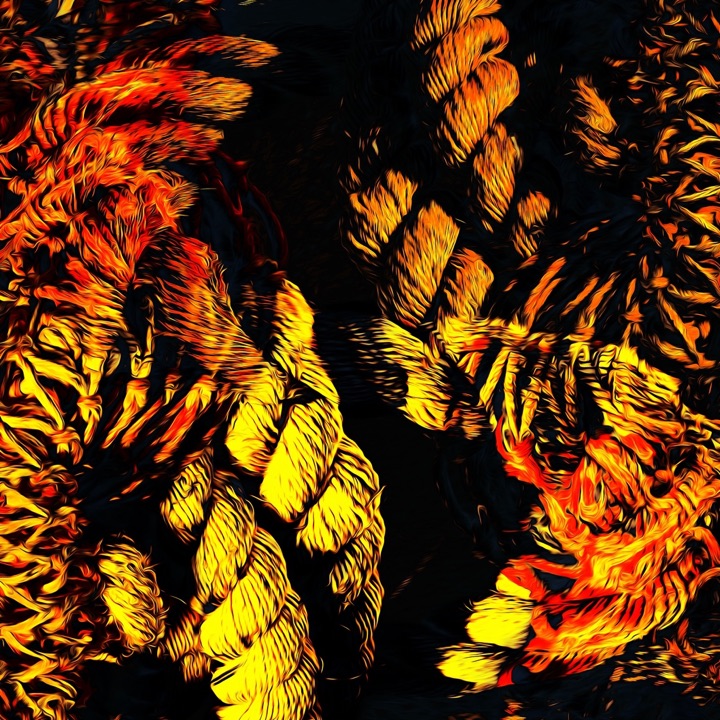 Nets, Photograph