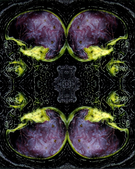 X-Rays, Mixed media